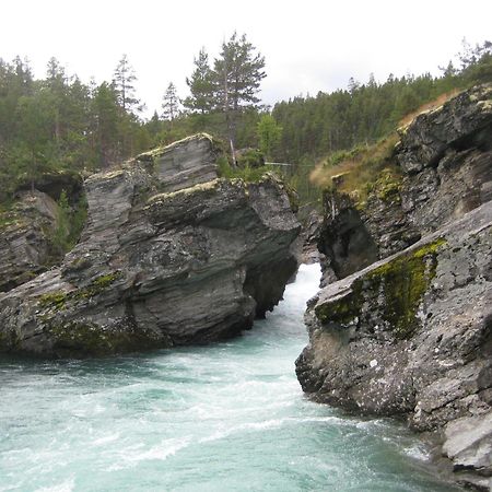 Jotunheimen Feriesenter Villa Heidal ภายนอก รูปภาพ