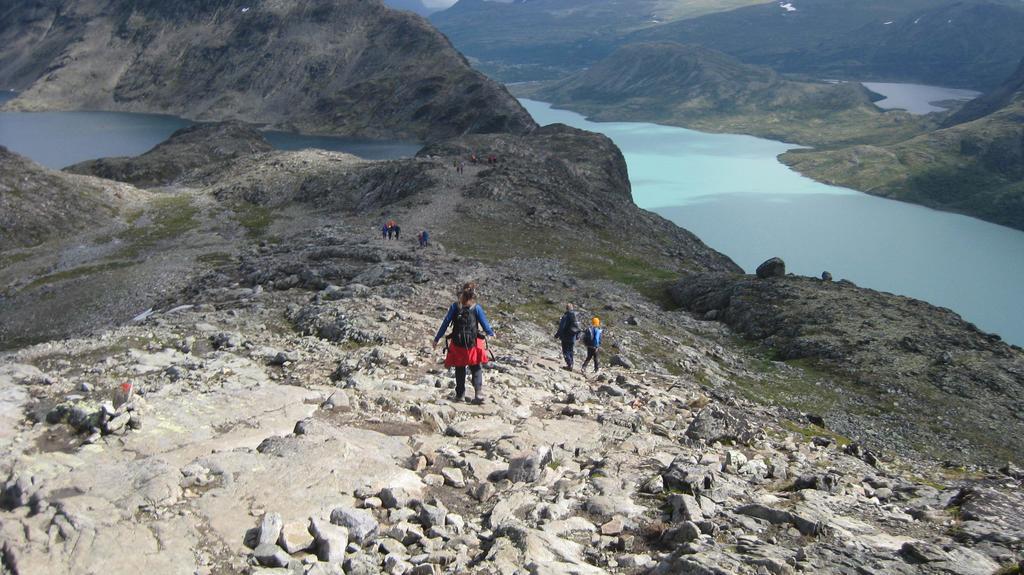 Jotunheimen Feriesenter Villa Heidal ภายนอก รูปภาพ